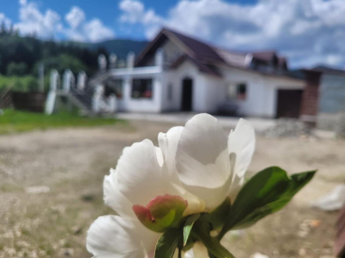 Hotel Poarta Zaganului Cheia Cheia  Exteriér fotografie