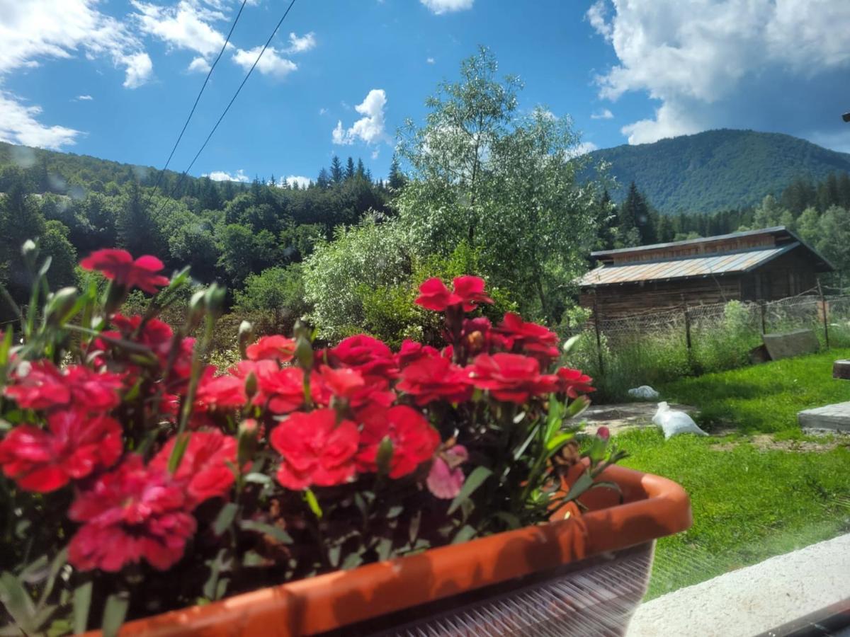 Hotel Poarta Zaganului Cheia Cheia  Exteriér fotografie
