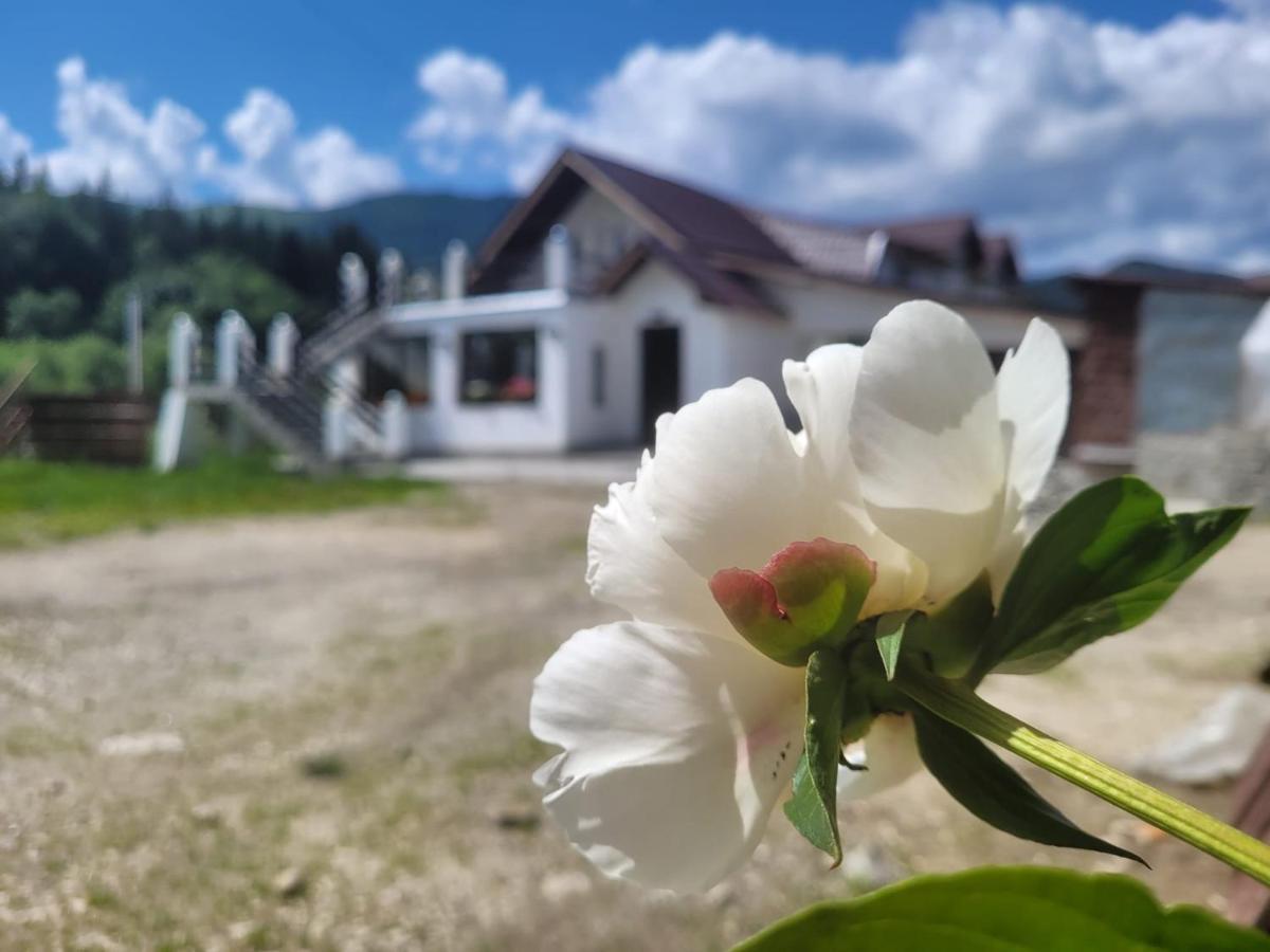 Hotel Poarta Zaganului Cheia Cheia  Exteriér fotografie